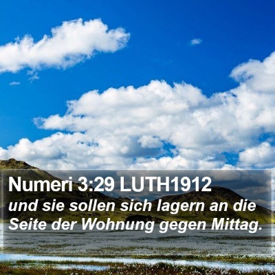 Numeri 3:29 LUTH1912 Bible Verse Image