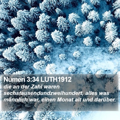 Numeri 3:34 LUTH1912 Bible Verse Image
