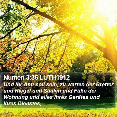 Numeri 3:36 LUTH1912 Bible Verse Image