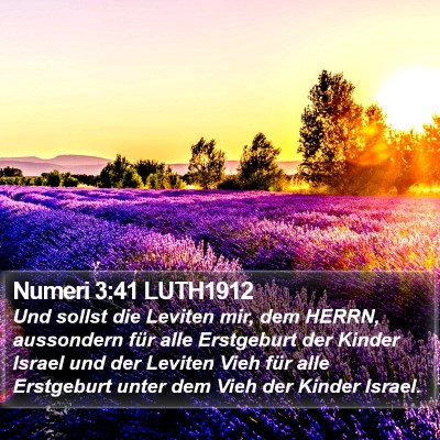 Numeri 3:41 LUTH1912 Bible Verse Image