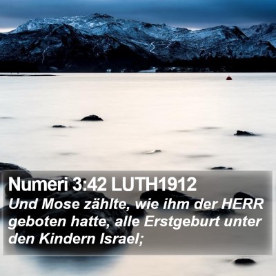 Numeri 3:42 LUTH1912 Bible Verse Image