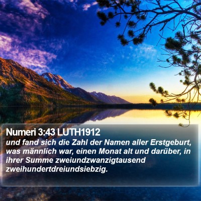 Numeri 3:43 LUTH1912 Bible Verse Image