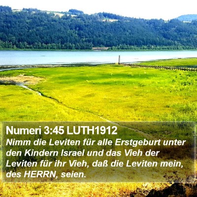 Numeri 3:45 LUTH1912 Bible Verse Image