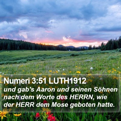 Numeri 3:51 LUTH1912 Bible Verse Image