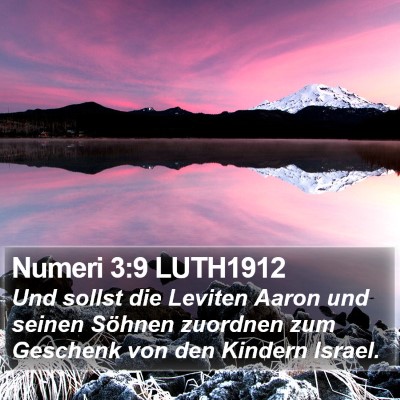 Numeri 3:9 LUTH1912 Bible Verse Image