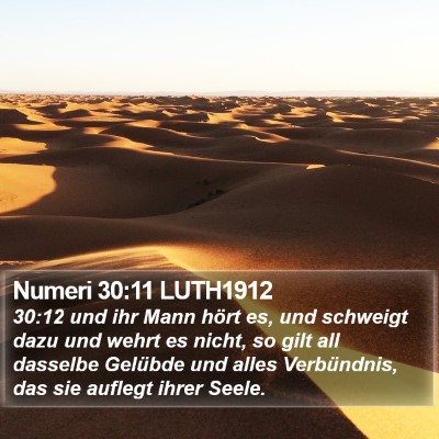 Numeri 30:11 LUTH1912 Bible Verse Image