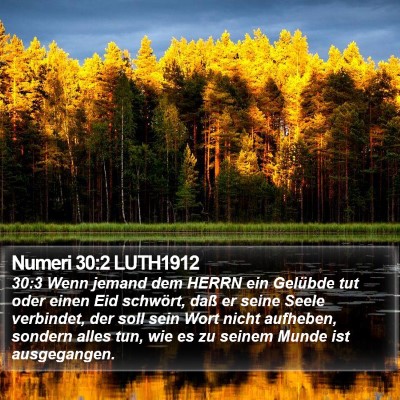 Numeri 30:2 LUTH1912 Bible Verse Image