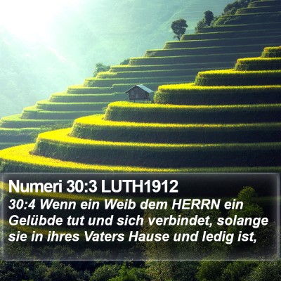Numeri 30:3 LUTH1912 Bible Verse Image