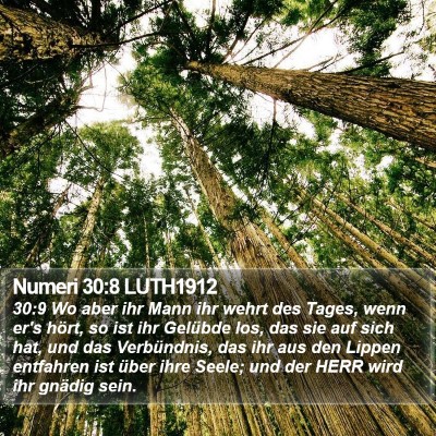 Numeri 30:8 LUTH1912 Bible Verse Image
