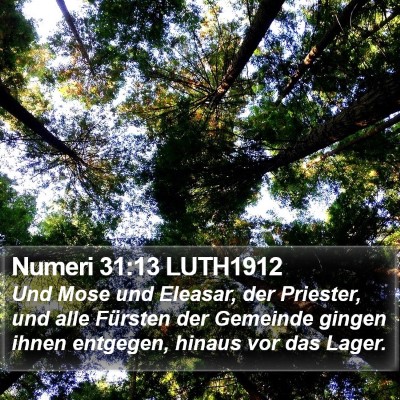 Numeri 31:13 LUTH1912 Bible Verse Image