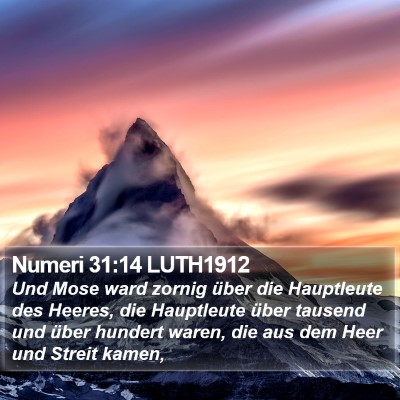 Numeri 31:14 LUTH1912 Bible Verse Image