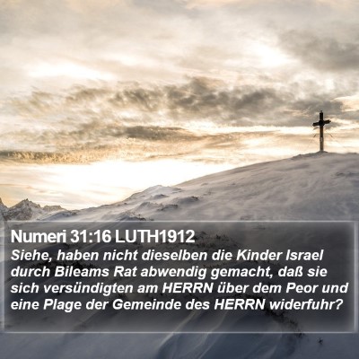 Numeri 31:16 LUTH1912 Bible Verse Image