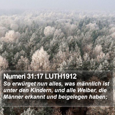 Numeri 31:17 LUTH1912 Bible Verse Image