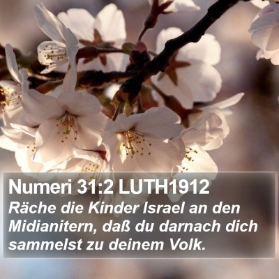 Numeri 31:2 LUTH1912 Bible Verse Image