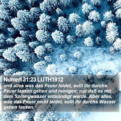 Numeri 31:23 LUTH1912 Bible Verse Image