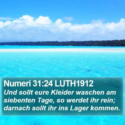 Numeri 31:24 LUTH1912 Bible Verse Image
