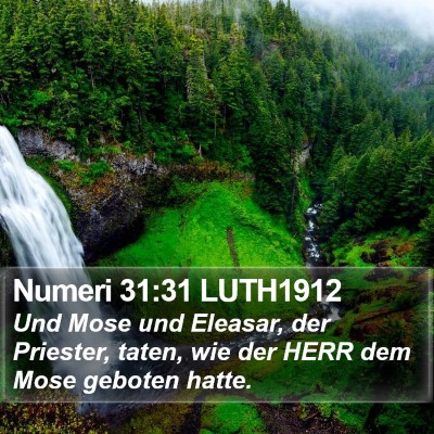 Numeri 31:31 LUTH1912 Bible Verse Image
