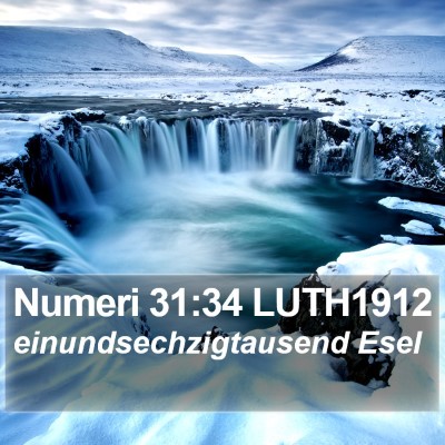 Numeri 31:34 LUTH1912 Bible Verse Image
