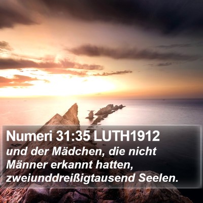 Numeri 31:35 LUTH1912 Bible Verse Image