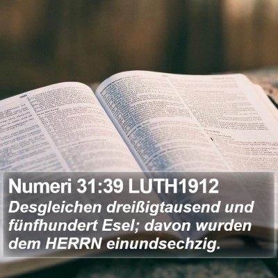 Numeri 31:39 LUTH1912 Bible Verse Image