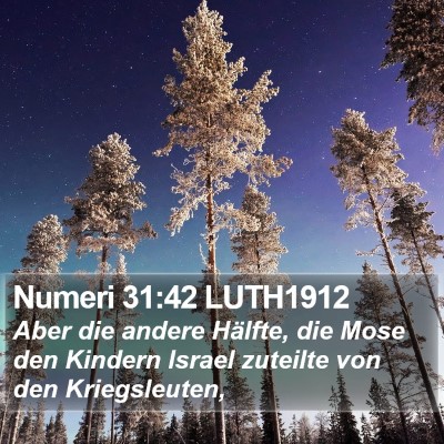 Numeri 31:42 LUTH1912 Bible Verse Image