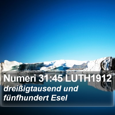 Numeri 31:45 LUTH1912 Bible Verse Image