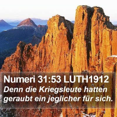 Numeri 31:53 LUTH1912 Bible Verse Image