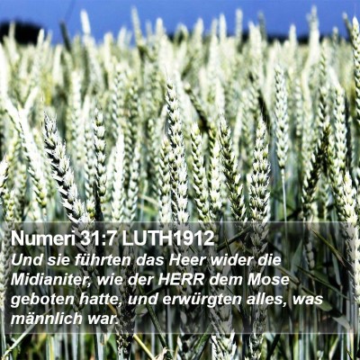 Numeri 31:7 LUTH1912 Bible Verse Image