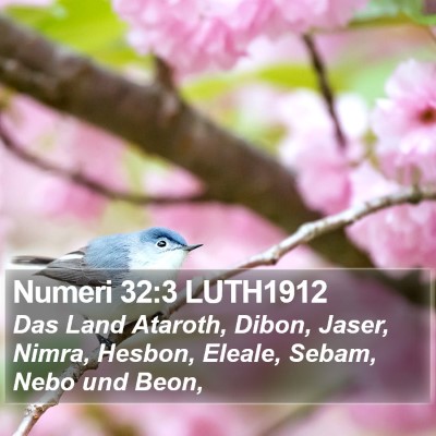 Numeri 32:3 LUTH1912 Bible Verse Image