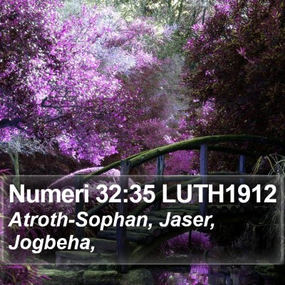 Numeri 32:35 LUTH1912 Bible Verse Image