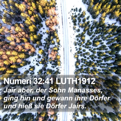 Numeri 32:41 LUTH1912 Bible Verse Image