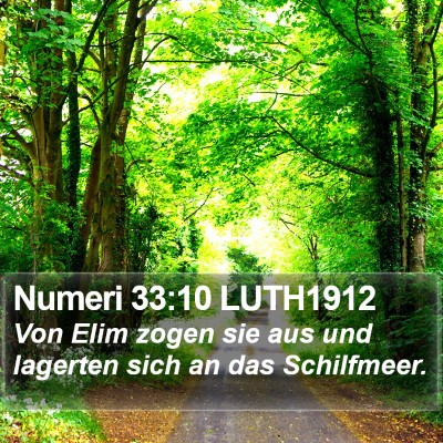 Numeri 33:10 LUTH1912 Bible Verse Image