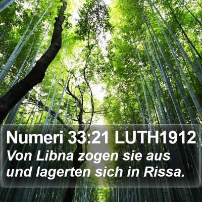 Numeri 33:21 LUTH1912 Bible Verse Image