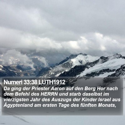 Numeri 33:38 LUTH1912 Bible Verse Image