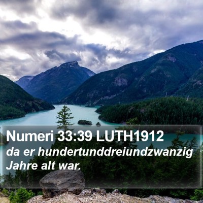 Numeri 33:39 LUTH1912 Bible Verse Image