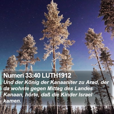 Numeri 33:40 LUTH1912 Bible Verse Image