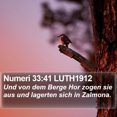 Numeri 33:41 LUTH1912 Bible Verse Image