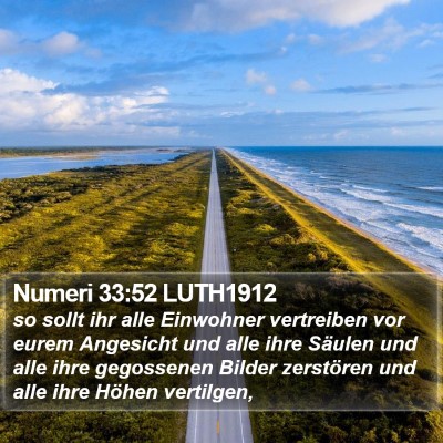 Numeri 33:52 LUTH1912 Bible Verse Image