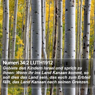 Numeri 34:2 LUTH1912 Bible Verse Image
