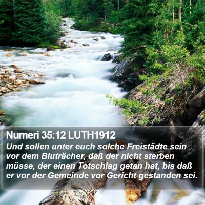 Numeri 35:12 LUTH1912 Bible Verse Image