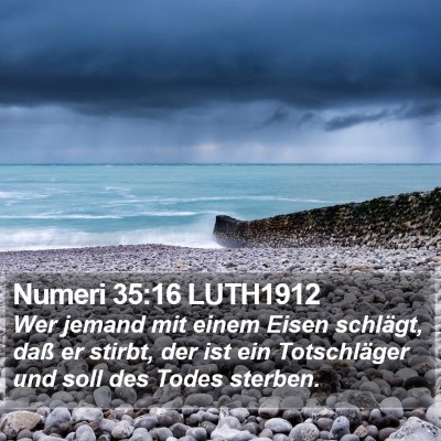 Numeri 35:16 LUTH1912 Bible Verse Image