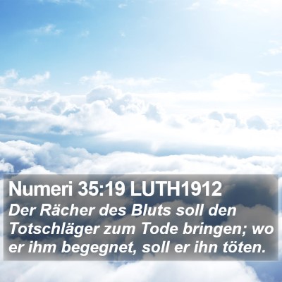 Numeri 35:19 LUTH1912 Bible Verse Image