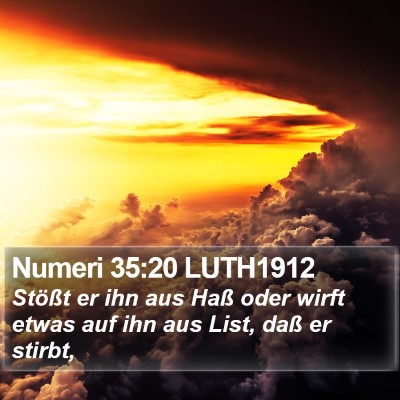 Numeri 35:20 LUTH1912 Bible Verse Image