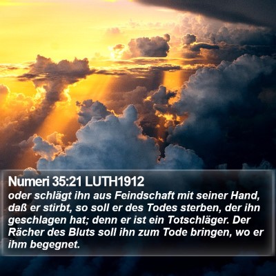 Numeri 35:21 LUTH1912 Bible Verse Image