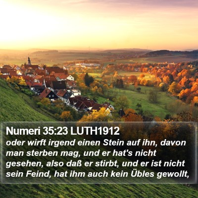 Numeri 35:23 LUTH1912 Bible Verse Image