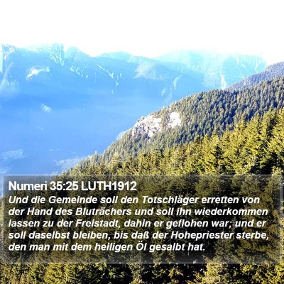 Numeri 35:25 LUTH1912 Bible Verse Image
