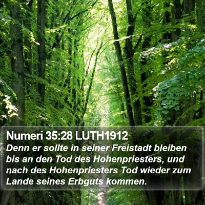 Numeri 35:28 LUTH1912 Bible Verse Image