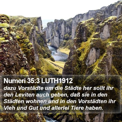 Numeri 35:3 LUTH1912 Bible Verse Image