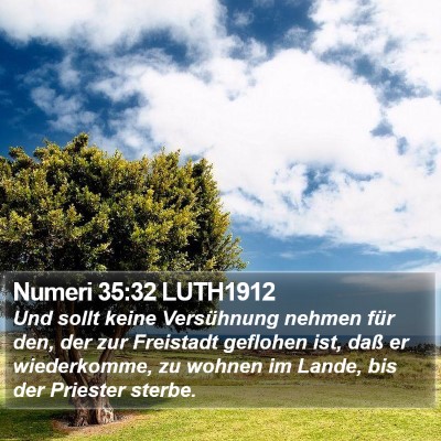 Numeri 35:32 LUTH1912 Bible Verse Image