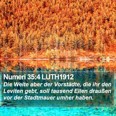 Numeri 35:4 LUTH1912 Bible Verse Image
